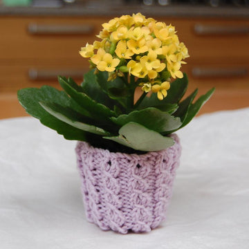 Sunny Side Egg Cosy