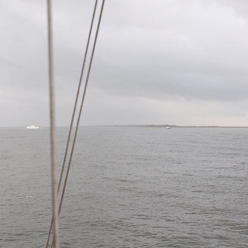 Cruise (ahoi)