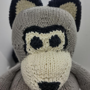 Rocky, the Raccoon