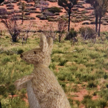 Kangaroo Family