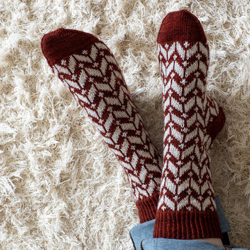 Trailblaze Socks
