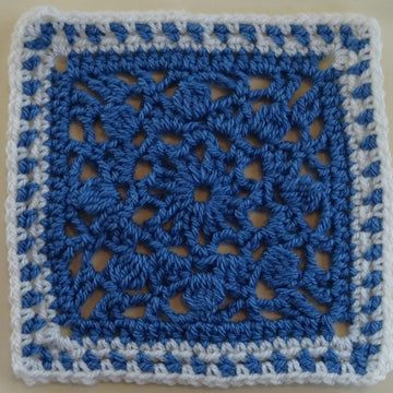 Wrapped in Memories Blanket