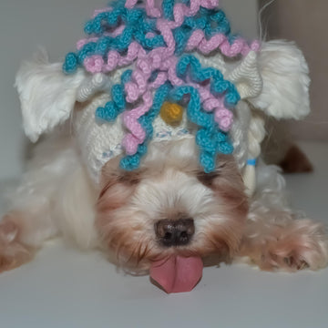 Unicorn dog hood, Crochet Pattern PDF, Size: XS for small dog