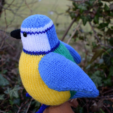 Beverley the Blue Tit