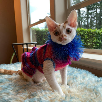 Sofie's Tiny Dog Knit "Party Dress"