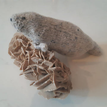 Manatee