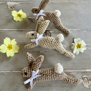 Leaping Spring Hare