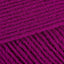Fuchsia (01037)