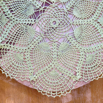 Leaves in a Web Doily Pattern