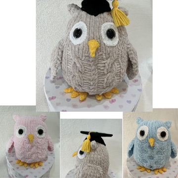 Wise Owls