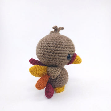 Terrence the Turkey
