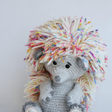 Rainbow the Hedgehog