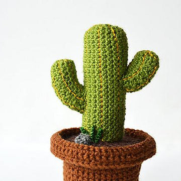 Desert Cactus Amigurumi Crochet Pattern