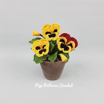Pansy & Viola