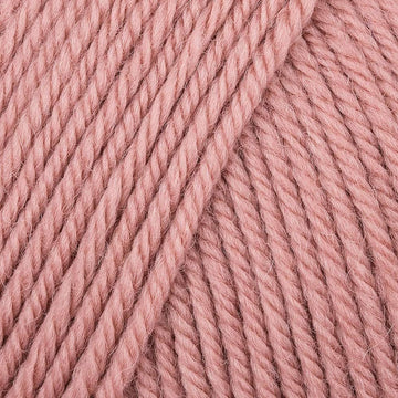 Ash Rose (229)