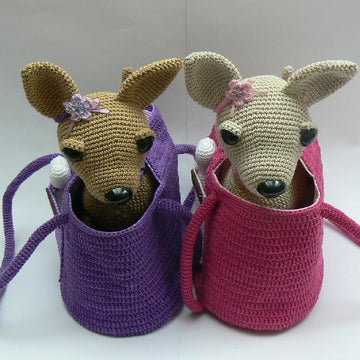 Chihuaua Ladies