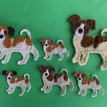 Jack Russell Dog