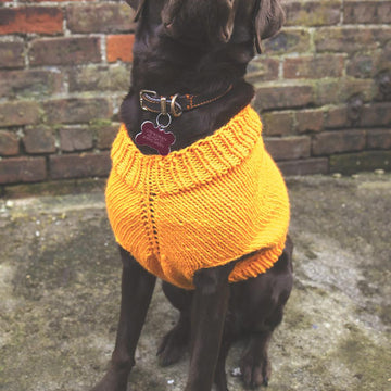 The Juno's Friend Jumper