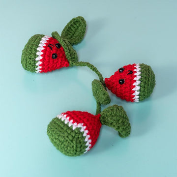 Watermelon Slice Car Hanging