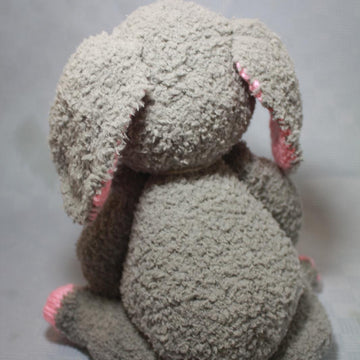 The 3B Bunny