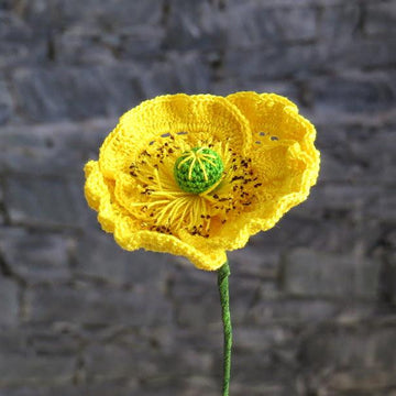 Poppy flanders oriantal or icelandic