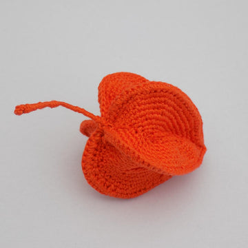 Physalis Plant (Chinese Lantern)