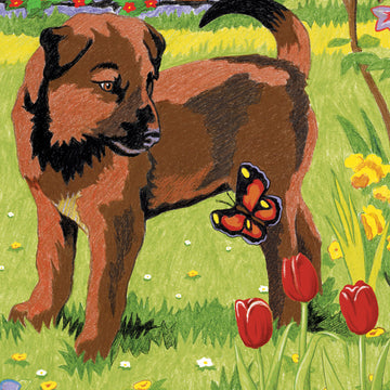 Royal Brush Mini Color Pencil By Number Kit 5"X7" - Puppy & Butterfly