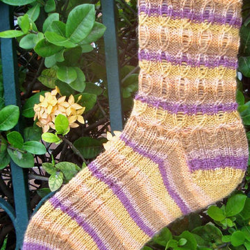 Yaneris Socks