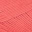 Coral (041)