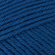 Teal (4203)