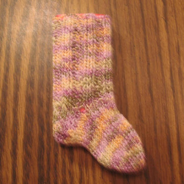 IPod Sock