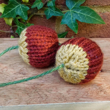 Pumpkin Treat Bag & Indoor Play Conkers