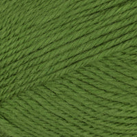 Cactus (36)