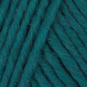 Alga (039)