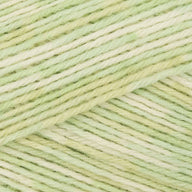 Gypsophilia (803)