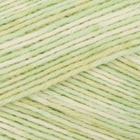 Gypsophilia (803)