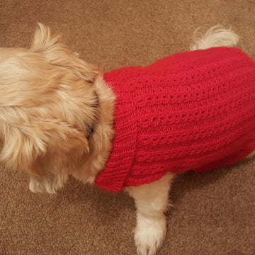 Sophie's Collared Mock Cable Jacket
