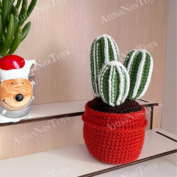 Cactus 3 in a pot