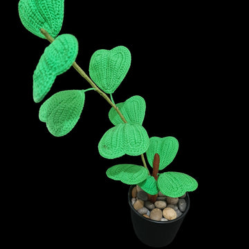 Crochet Sweetheart Hoya plant