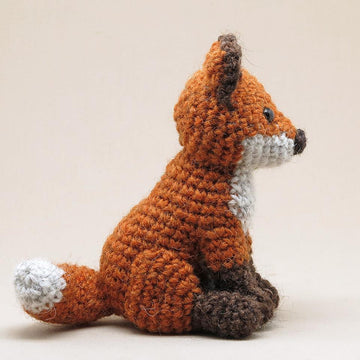 Young Flamsie the fox