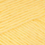 Daffodil Yellow (622)