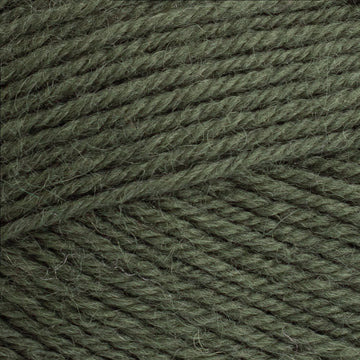 Forest (5024)