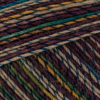 Desert Color (03732)