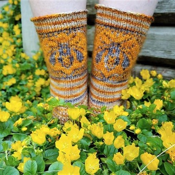 Hymenoptera Socks