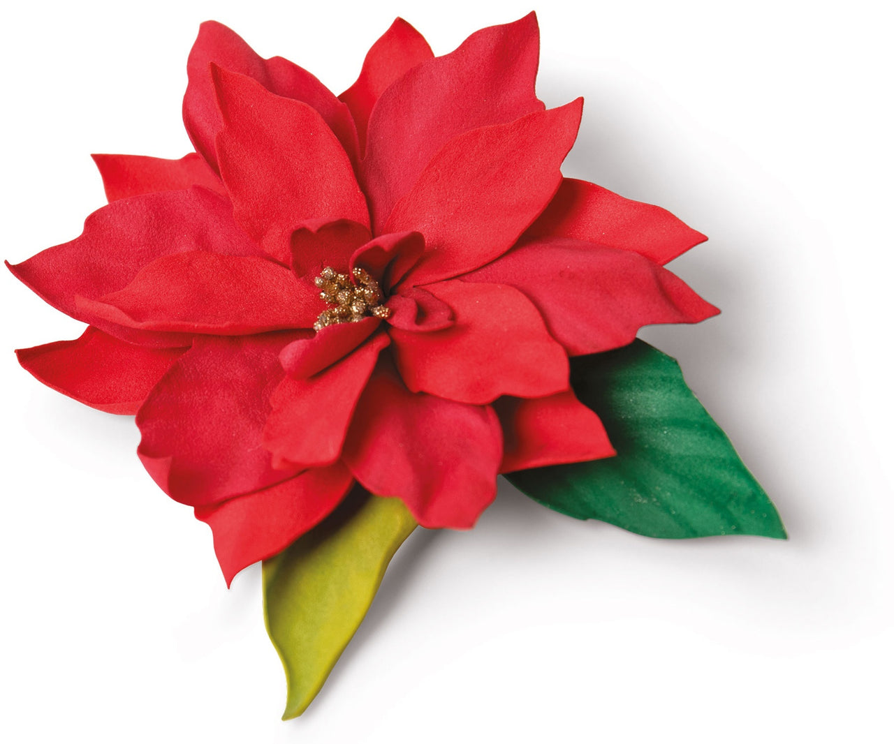 Sizzix Thinlits Dies By Jennifer Ogborn 5/Pkg - Elegant Poinsettia