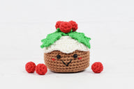 Merry Christmas Pudding