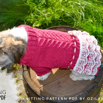 Lace cherry dress for dog
