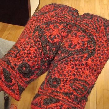 Kissing Koi Mittens