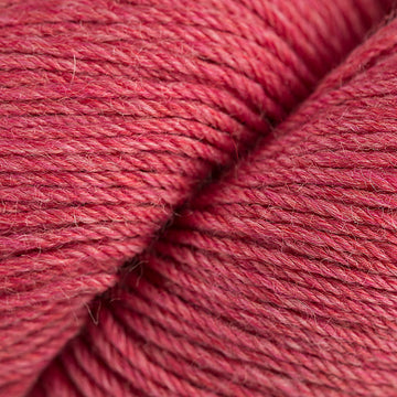 Coop Knits Socks Yeah!