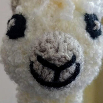 Eli The Alpaca